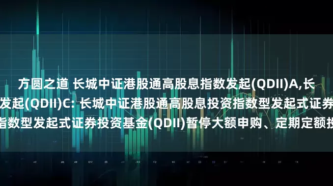 方圆之道 长城中证港股通高股息指数发起(QDII)A,长城中证港股通高股息指数发起(QDII)C: 长城中证港股通高股息投资指数型发起式证券投资基金(QDII)暂停大额申购、定期定额投资业务的公告
