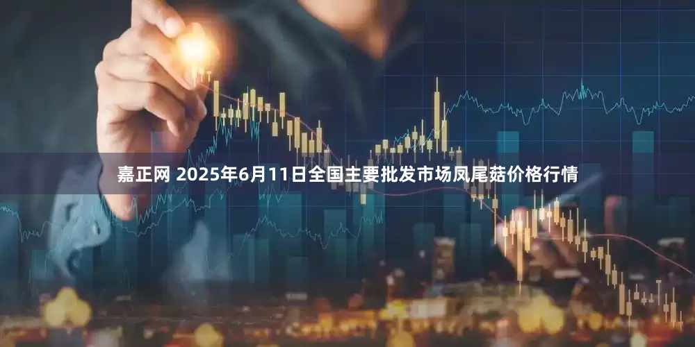 嘉正网 2025年6月11日全国主要批发市场凤尾菇价格行情