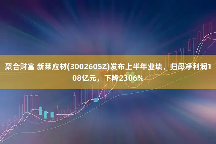 聚合财富 新莱应材(300260SZ)发布上半年业绩，归母净利润108亿元，下降2306%